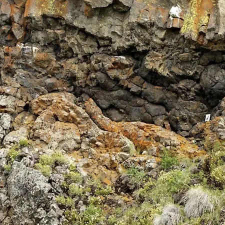 View & Hiking In Italian Riviera Appartement *