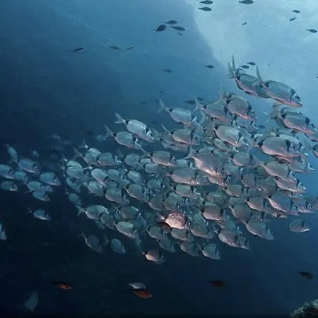 View & Hiking In Italian Riviera