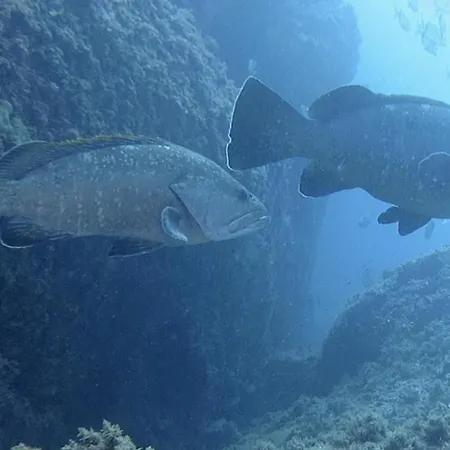 View & Hiking In Italian Riviera * Genua