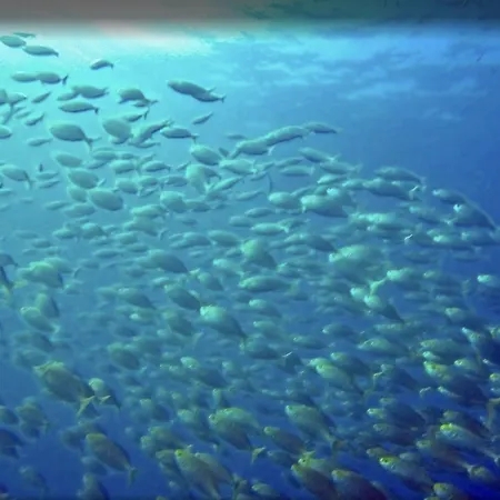 Appartement View & Hiking In Italian Riviera