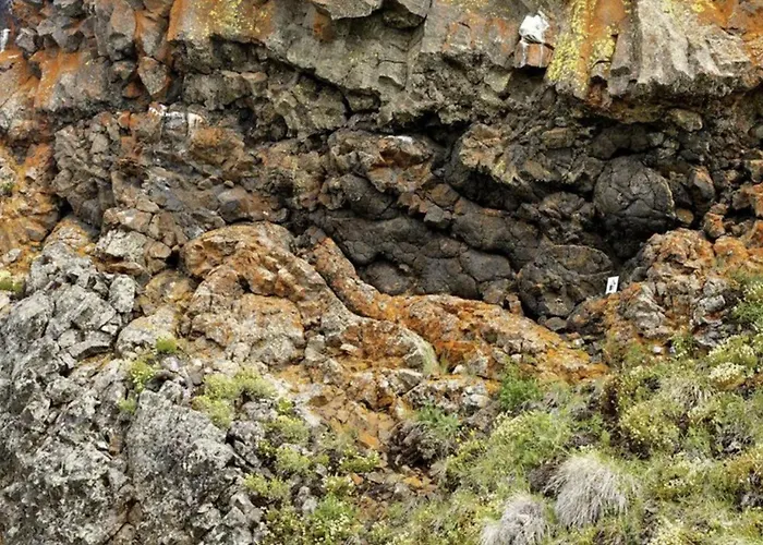 View & Hiking In Italian Riviera Appartement *