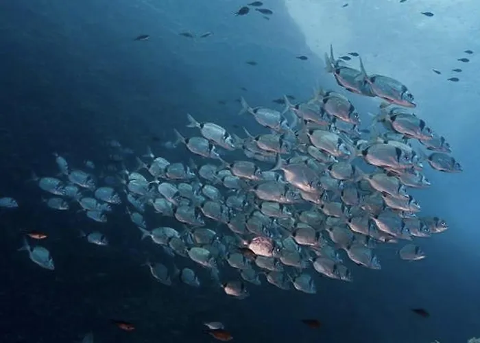 View & Hiking In Italian Riviera