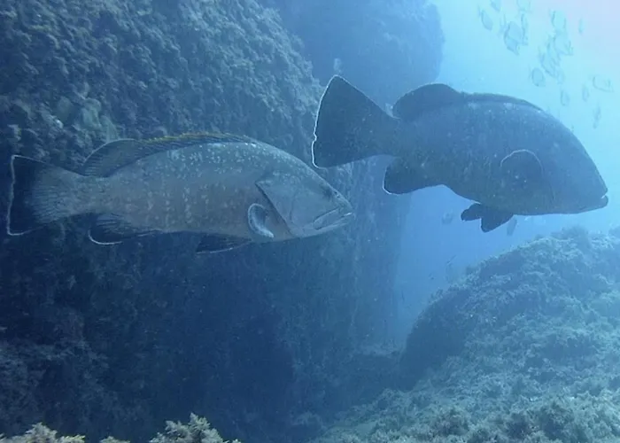 View & Hiking In Italian Riviera * Gênes