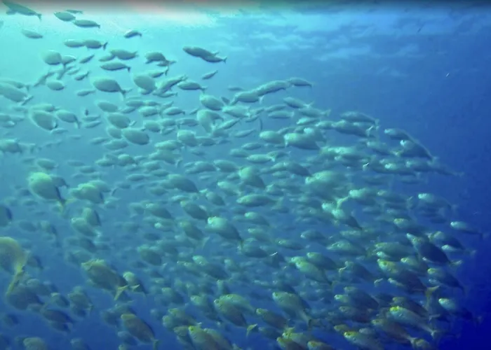 아파트 View & Hiking In Italian Riviera