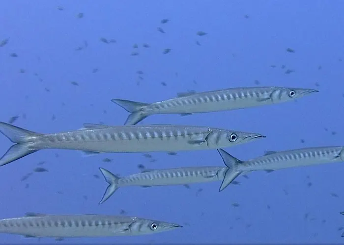 View & Hiking In Italian Riviera 아파트 *