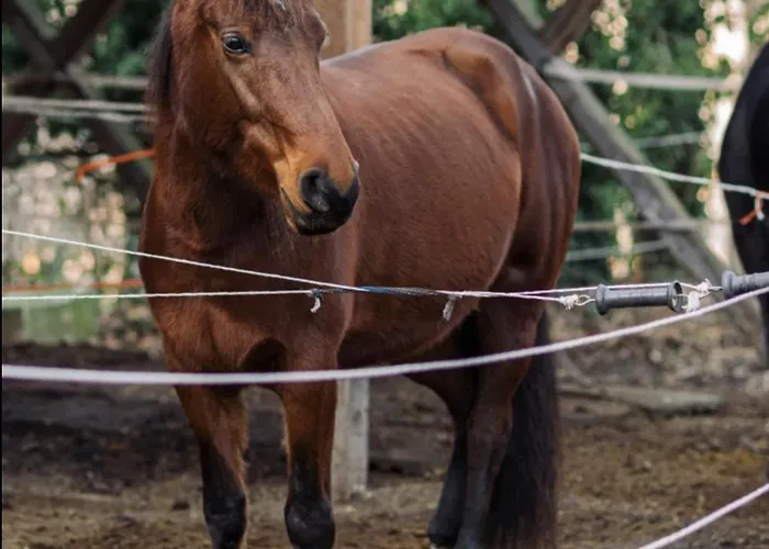 View & Hiking In Italian Riviera Appartement *