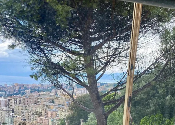 View & Hiking In Italian Riviera * 제노바